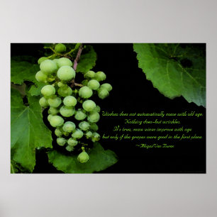 Zitat zur Weisheit Poster