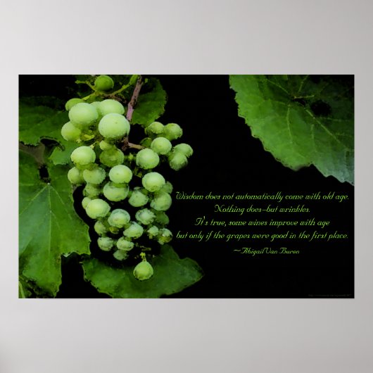 Zitat zur Weisheit Poster (Vorne)