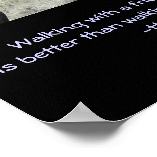 Zitat: Zwei braune Wildpferde Poster (Ecke)