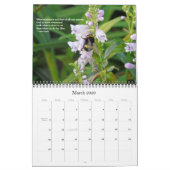 Zitate für Leben-Kalender-Wahl F Kalender (Mär 2026)