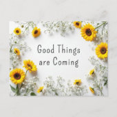 Zitate gelbe weiße Sonnenblumen Postkarte (Vorderseite)