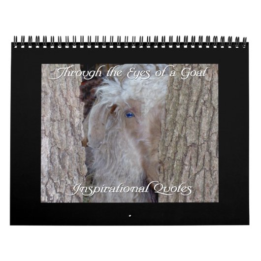 Zitate Ziegenkalender 2013 Kalender (Titelbild)