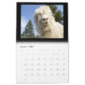 Zitate Ziegenkalender 2013 Kalender (Jan 2027)