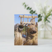 Ziticaca Postkarte (Stehend Vorderseite)