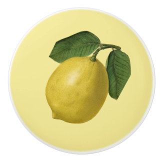 Zitrone ~ Botanische Frucht ~ Jede Hintergrundfarb Keramikknauf