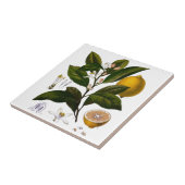 Zitrone Fliese (Seite)