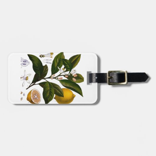 Zitrone Gepäckanhänger (Vorderseite horizontal)