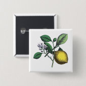 Zitrone, "Obst und Blume" Button (Vorne & Hinten)