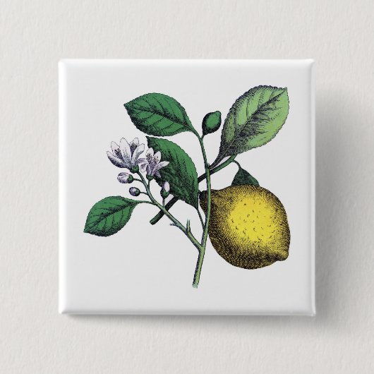 Zitrone, "Obst und Blume" Button (Vorderseite)