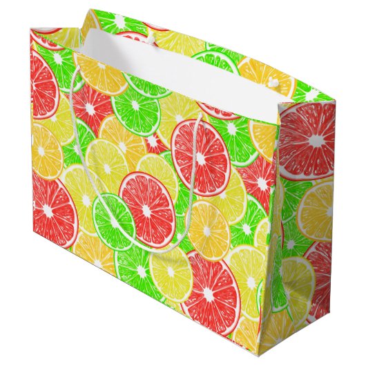 Zitrone, Orange, Grapefruit und Limone Scheiben Große Geschenktüte (Rückseite Schrägansicht)