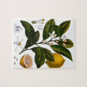 Zitrone Puzzle (Horizontal)