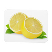 Zitrone schneiden magnet (Horizontal)