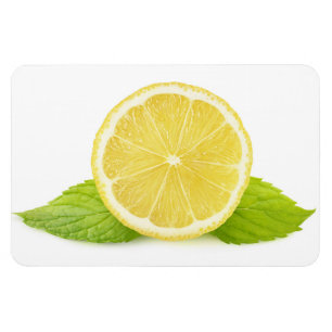 Zitrone und Minze Magnet