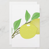Zitronen Briefpapier (Vorne/Hinten)