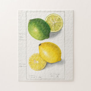 Zitronen (Citrus Limon) Frucht Aquarellmalerei Puzzle