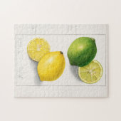 Zitronen (Citrus Limon) Fruchtfarben Puzzle (Horizontal)