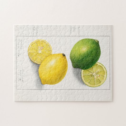 Zitronen (Citrus Limon) Fruchtfarben Puzzle (Horizontal)