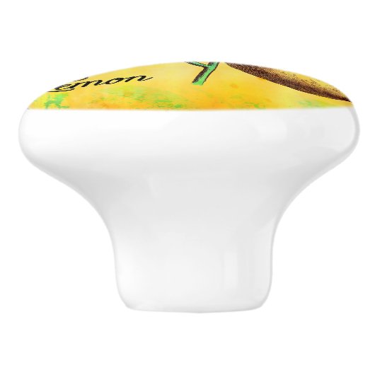 Zitronen-Frucht-Blumen-Blätter-Vintages Keramikknauf (Seitenansicht)