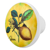 Zitronen-Frucht-Blumen-Blätter-Vintages Keramikknauf (Rechts)