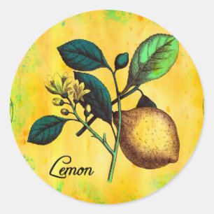 Zitronen-Frucht-Blumen-Blätter-Vintages Runder Aufkleber