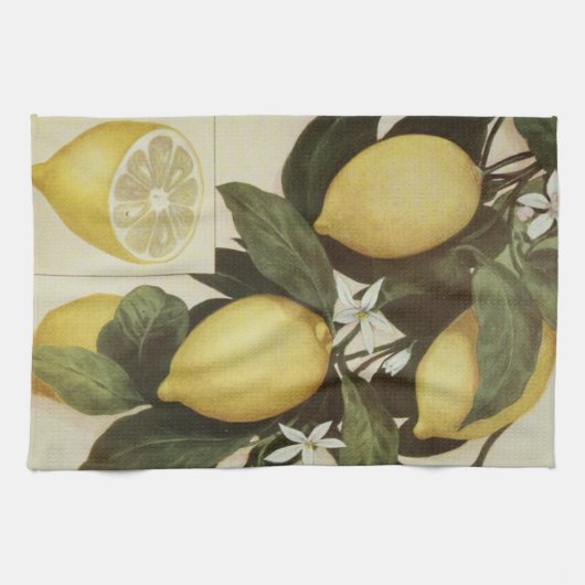 Zitronen-Geschirrtuch Handtuch (Horizontal)
