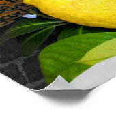 Zitronen in Limone am Gardasee Poster (Ecke)