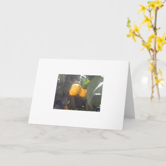 Zitronen? Karte (Gelbe Blume)