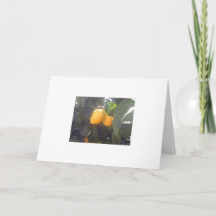 Zitronen? Karte