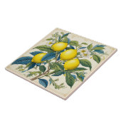 Zitronen Mittelmeer Sommerzitrus Fliese (Seite)