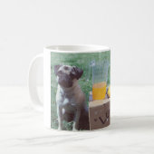 Zitronen-Mops-Tassen-Schale Kaffeetasse (Vorderseite Links)