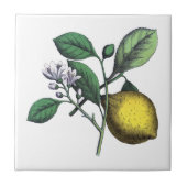 Zitronen, Obst und Blume Fliese (Vorderseite)