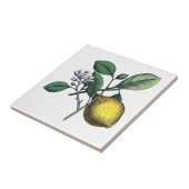 Zitronen, Obst und Blume Fliese (Seite)