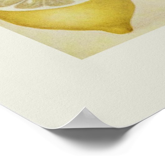 Zitronen Poster (Ecke)