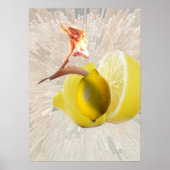 Zitronen Poster (Vorne)