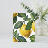 Zitronen Postkarte (Stehend Vorderseite)