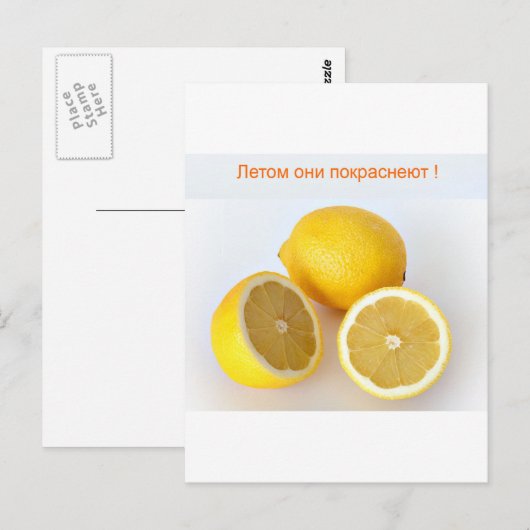 Zitronen Postkarte (Vorne/Hinten)