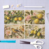 Zitronen Seidenpapier (Handwerk)