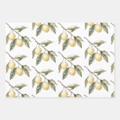 Zitronen Sizilien Rustikale braune Streifen Geburt Geschenkpapier Set (Vorderseite 3)