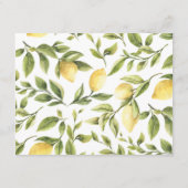 Zitronen und Blätter | Angaben zur botanischen WED Begleitkarte (Rückseite)