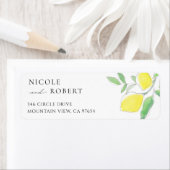 Zitronen und Blätter Rückgabeadresse (Insitu)