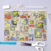 Zitronen- und Lavendelgewebe Seidenpapier (Handwerk)