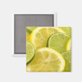 Zitronen und Limone Scheiben Magnet (Vorderseite/Rückseite)