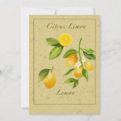 Zitronen und Zitronen-Blume Brautparty Einladung (Rückseite)