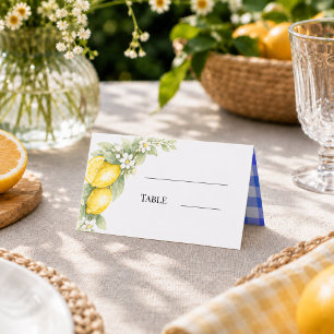 Zitronen Zitrus blau Gingham Gartenparty Platzkarte