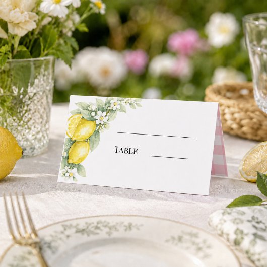 Zitronen Zitrus rosa Gingham Platzkarte