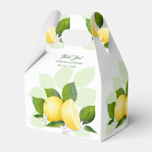 Zitronen Zitrusfrucht Botanisch Geschenkschachtel