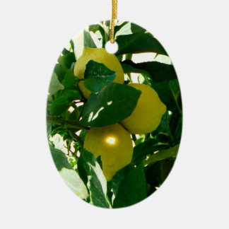 Zitronenbaum-Gelbgrün-Verzierung Keramik Ornament