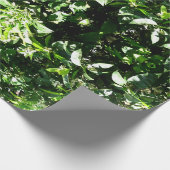 Zitronenbaum Geschenkpapier (Ecke)