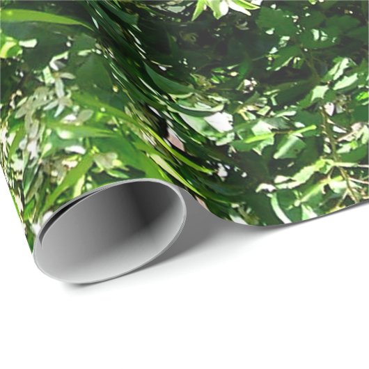 Zitronenbaum Geschenkpapier (Rolleneckpunkt)