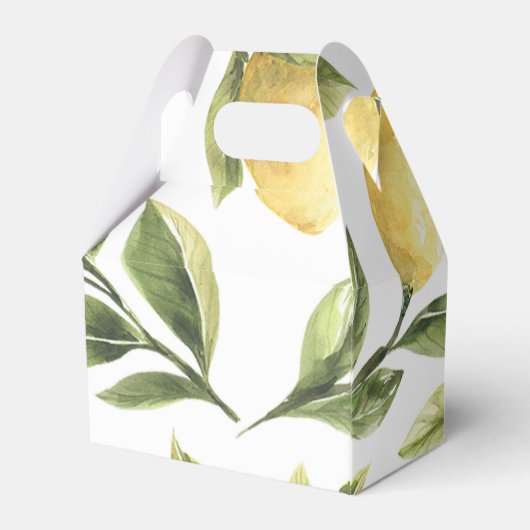 Zitronenbaum Geschenkschachtel (Rückseite)